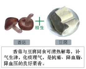 mush toufu9 Xiangsheng and Xiangke: Foods that React to Each other