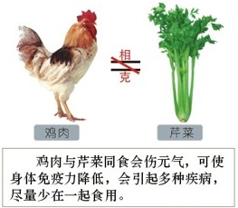 chicken-celery