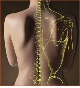 Chiropractor2 My Journey with Chinese Chiropractic (Part 1)