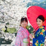 Young women in kimonos during a Sakura festival